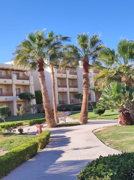 Gartenanlage Hotel Sheraton Soma Bay Resort