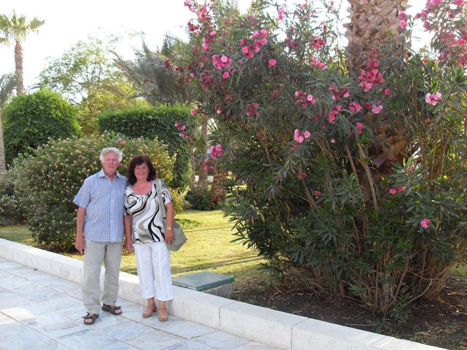 Hotelgarten The Grand Hotel Hurghada