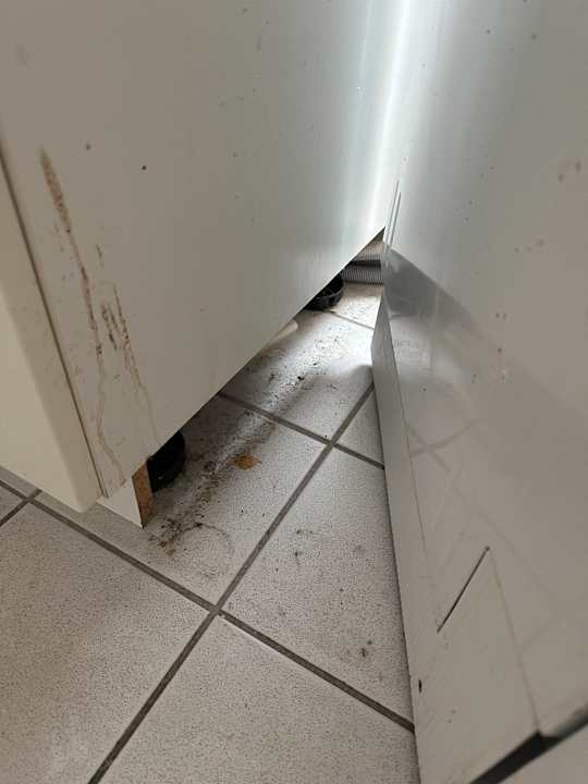 Zimmer Heiligenhafen Ferienpark