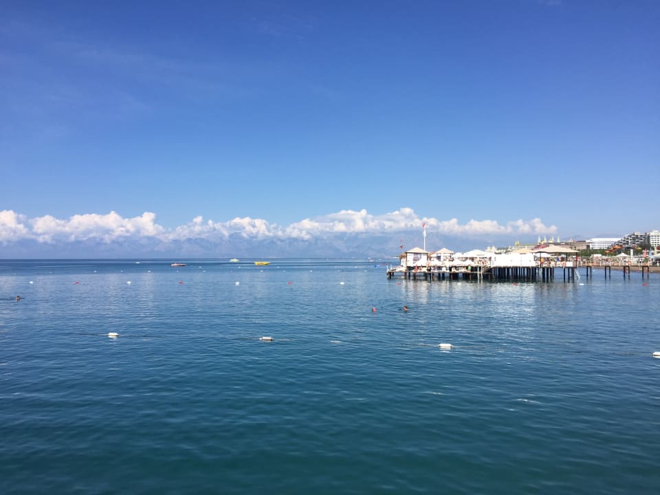 Strand Royal Seginus