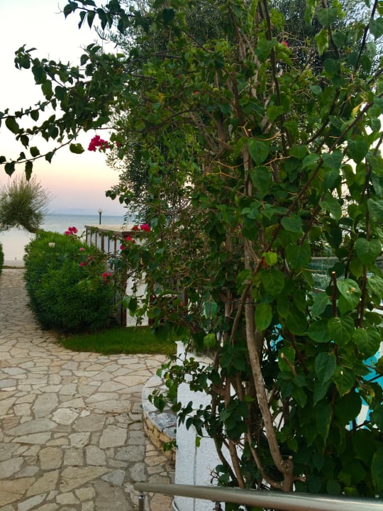 Gartenanlage Elea Beach Hotel