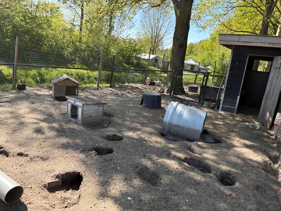 Sport & Freizeit Camping & Bungalows RCN Zeewolde