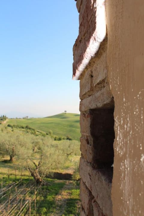 Ausblick Turm Agriturismo Podere Spedalone
