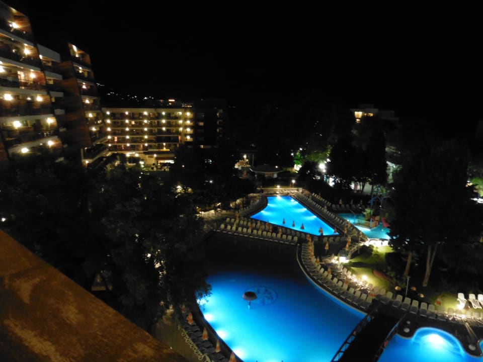 Flamingo bei Nacht Flamingo Grand Hotel & Spa