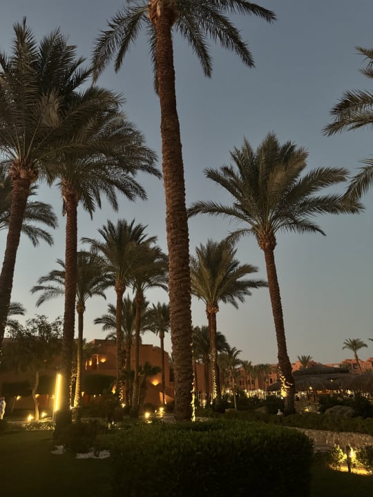Gartenanlage Jaz Makadi Oasis Resort