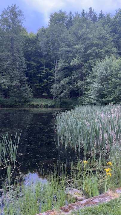 Außenansicht Hotel Im Krummbachtal