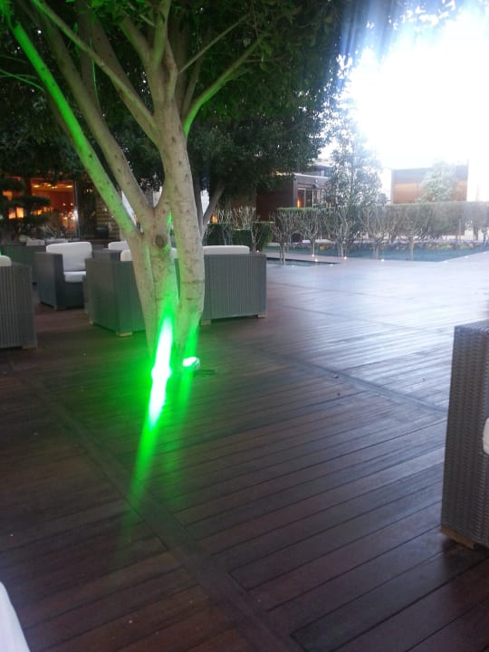 Sitzgelegenheiten Lobby außen Gloria Serenity Resort