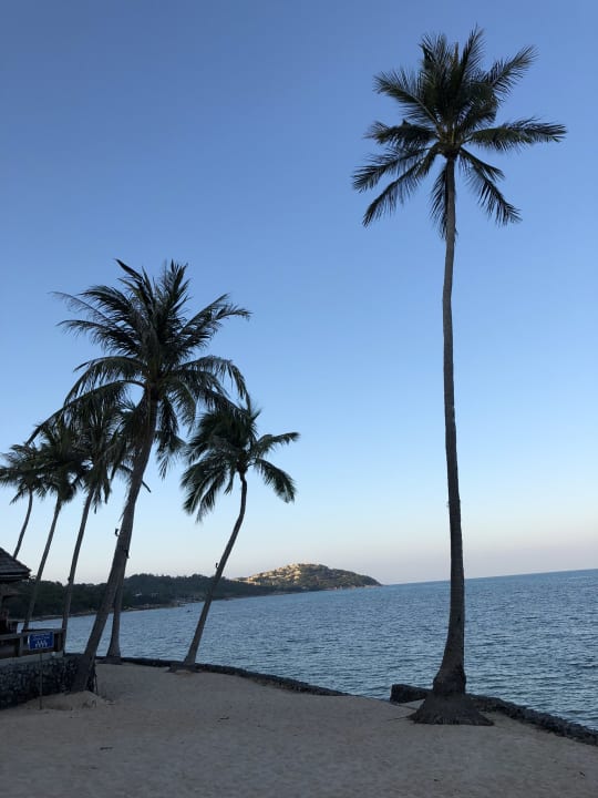 Ausblick Nora Beach Resort & Spa