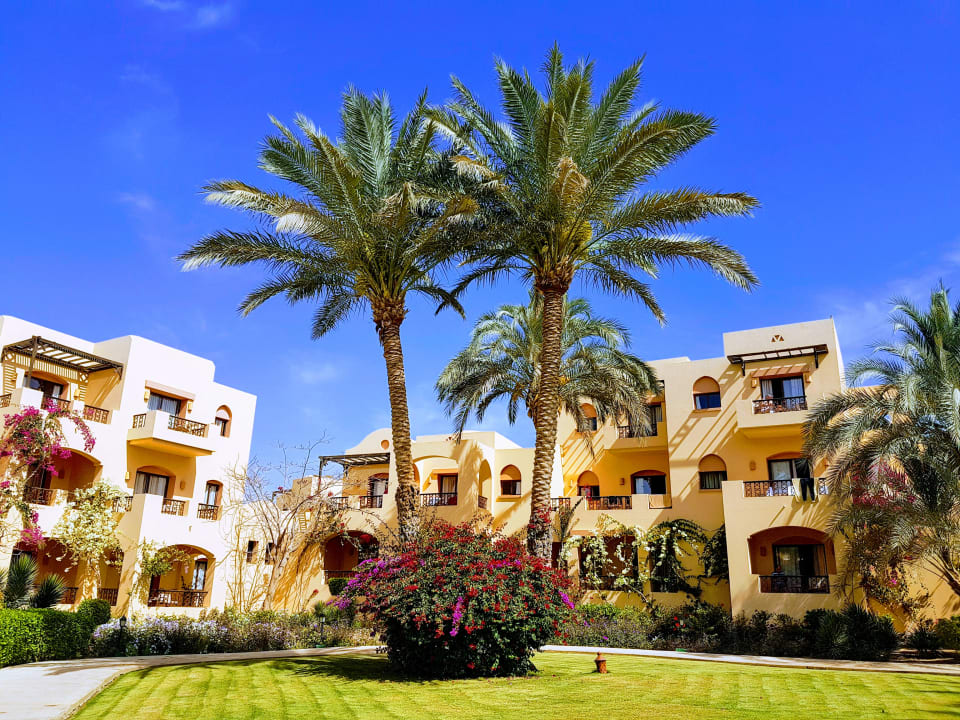 Gartenanlage Steigenberger Coraya Beach - Adults only