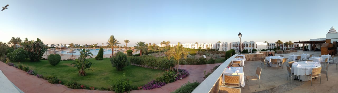 Gartenanlage Hotel Gorgonia Beach Resort