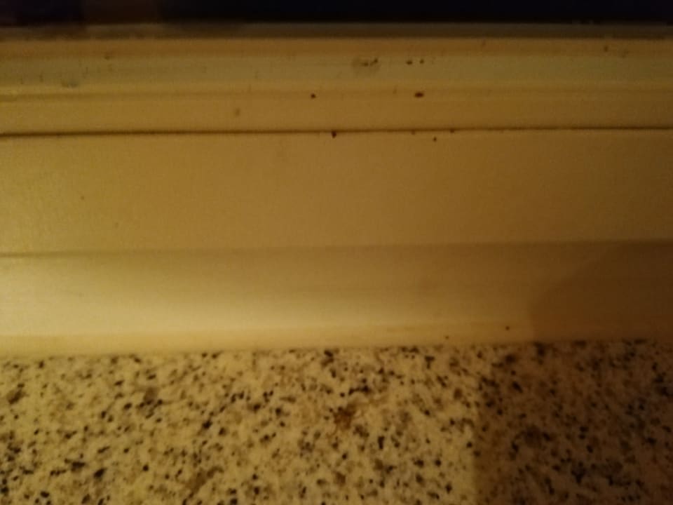 Zimmer Seehotel Schloss Klink