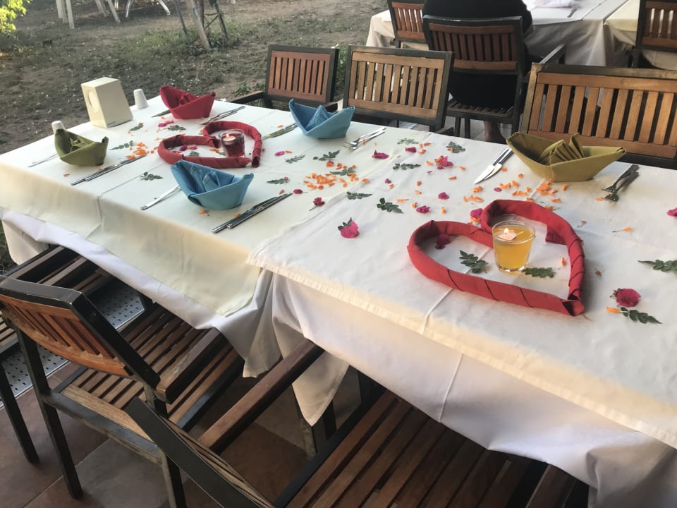 Gastro Calimera Hane Garden
