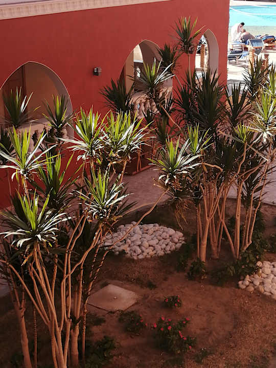 Gartenanlage Pickalbatros Alf Leila Wa Leila Resort - Neverland Hurghada