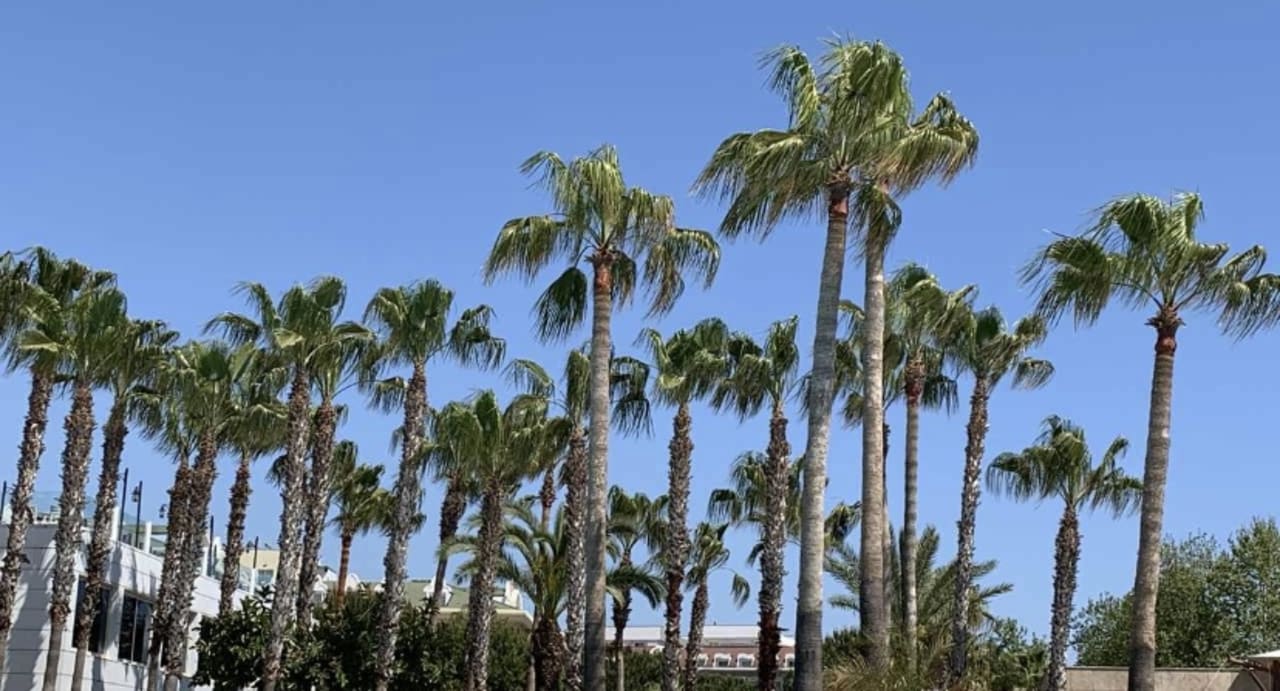 Pool Kamelya Aishen Club