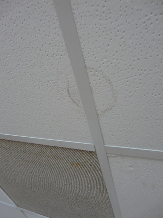 Sufit TUI Suneo Serenity Bay