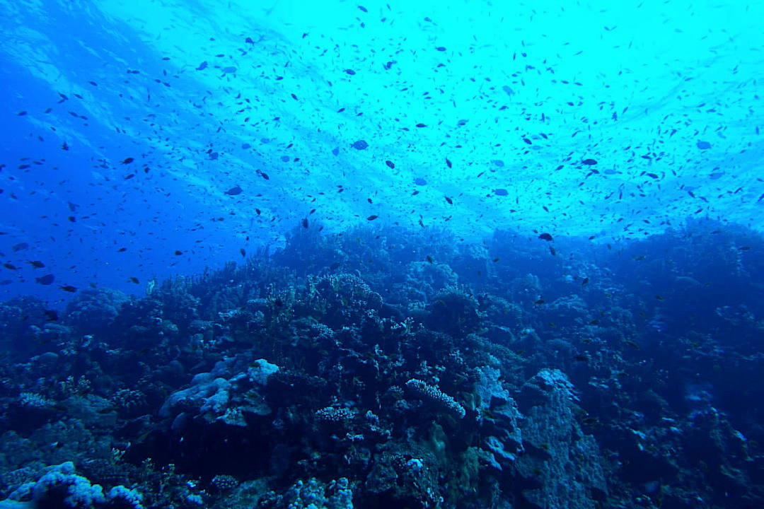 Sonstiges Utopia Beach Club