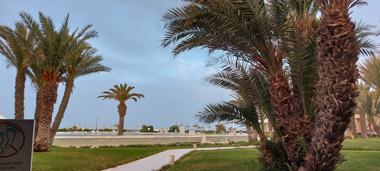 Gartenanlage Iberostar Waves Averroes