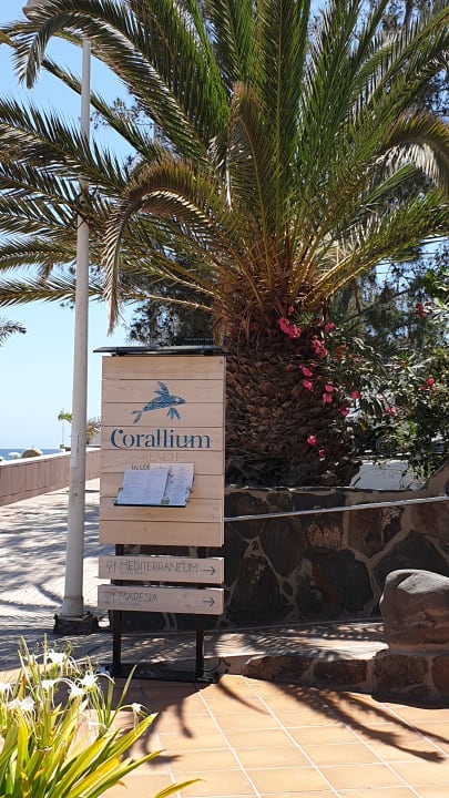 Außenansicht Corallium Beach by Lopesan Hotels - Adults only