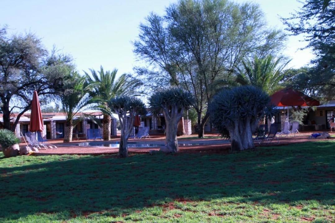Garten mit Pool Kalahari Anib Lodge