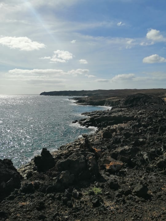 Strand allsun App.-Hotel Albatros