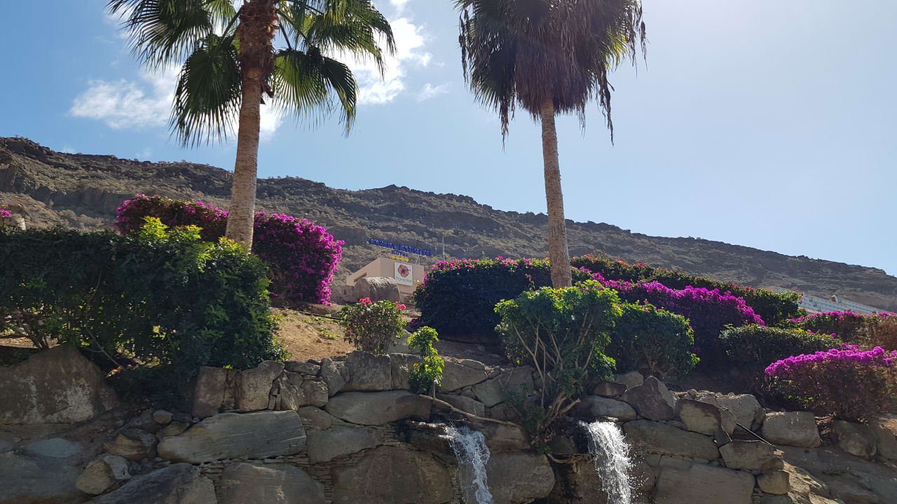 Außenansicht LIVVO Costa Taurito