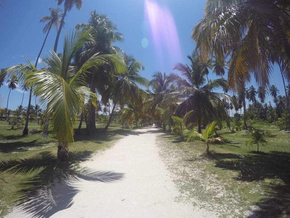 Weg zum Strand Villas Bavaro Resort & Spa