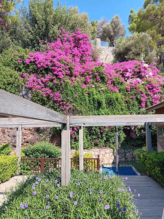 Gartenanlage TUI BLUE Seno - Adults Only