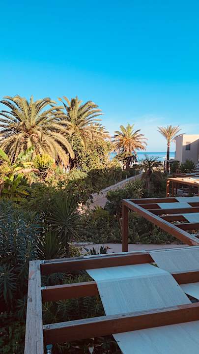 Gartenanlage Cretan Beach Resort