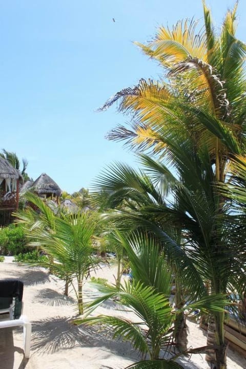 Strand TUI BLUE El Dorado Seaside Suites