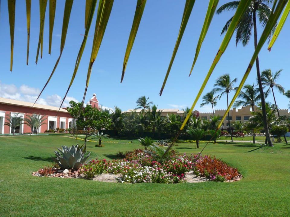 Herrliche Beete Iberostar Waves Bahia