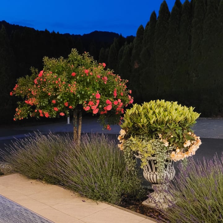 Gartenanlage Schlössl Hotel Kindl