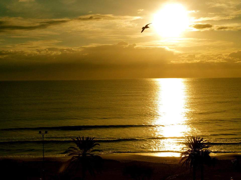 Sonnenuntergang vom Balkon aus geniessen CM Playa del Moro