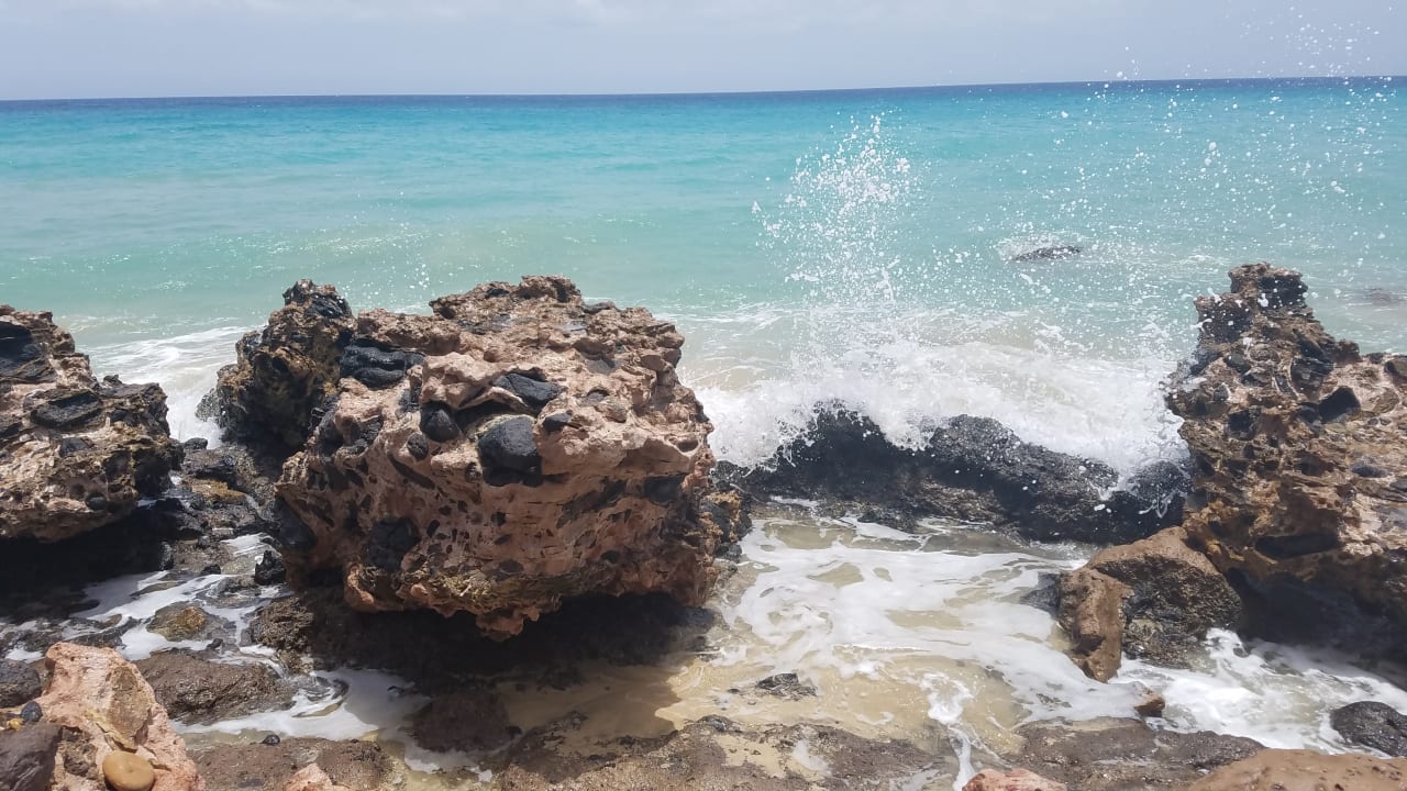 Strand Royal Palm Resort & Spa - Adults only