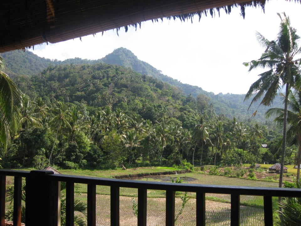 Blick vom Balkon  Villa Manuk