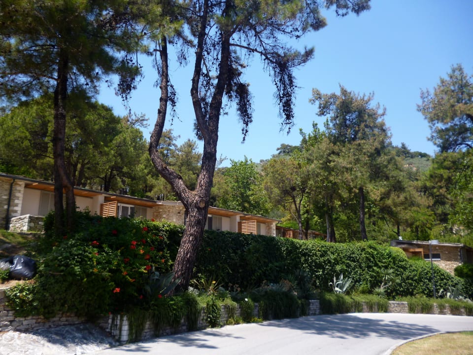 Gartenanlage Hotel Makryammos Bungalows