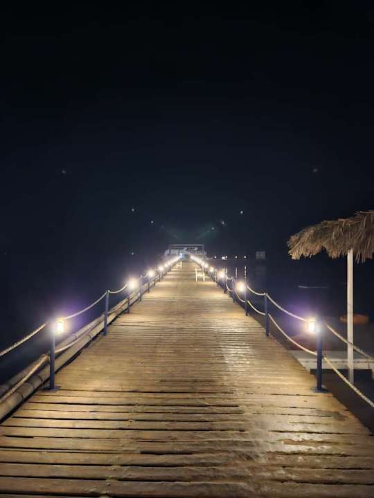 Sonstiges Desert Rose