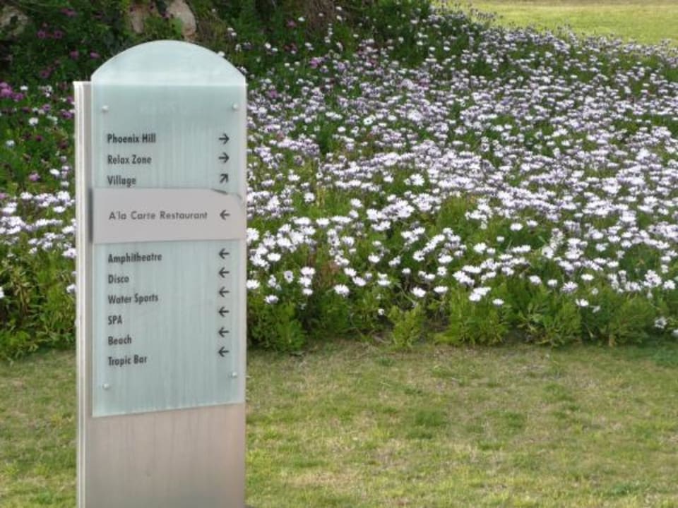 Blütenmeer Asteria Family Belek