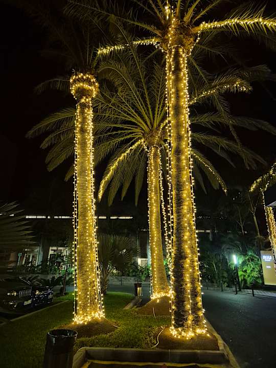 Gartenanlage Hotel Riu Palace Oasis