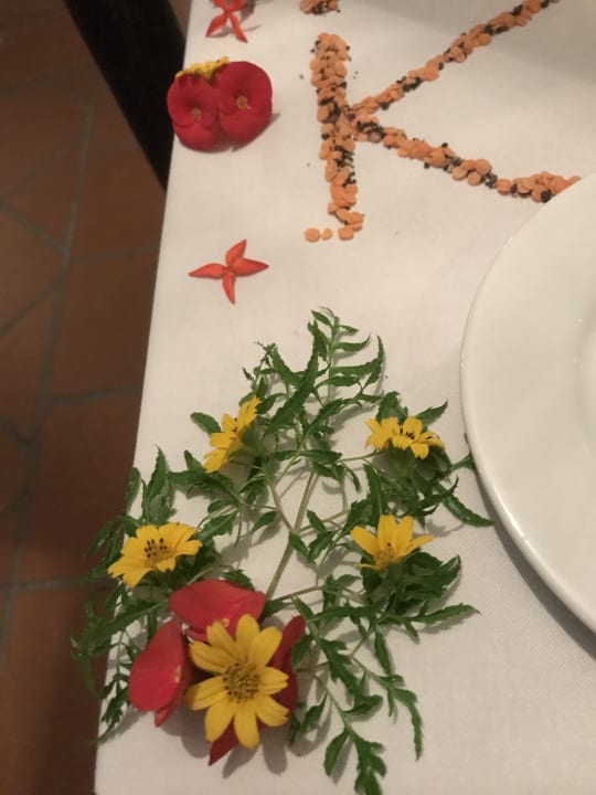 Gastro Hotel Lanka Princess Ayurveda