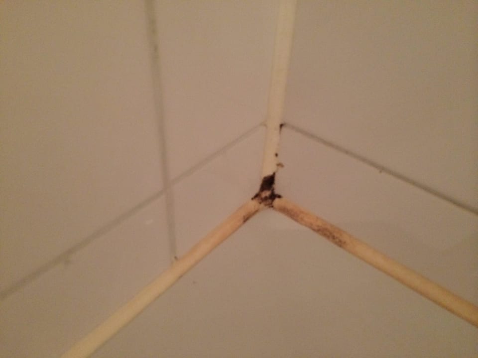 Mmh da duscht man gerne! Vienna House Easy Bad Oeynhausen