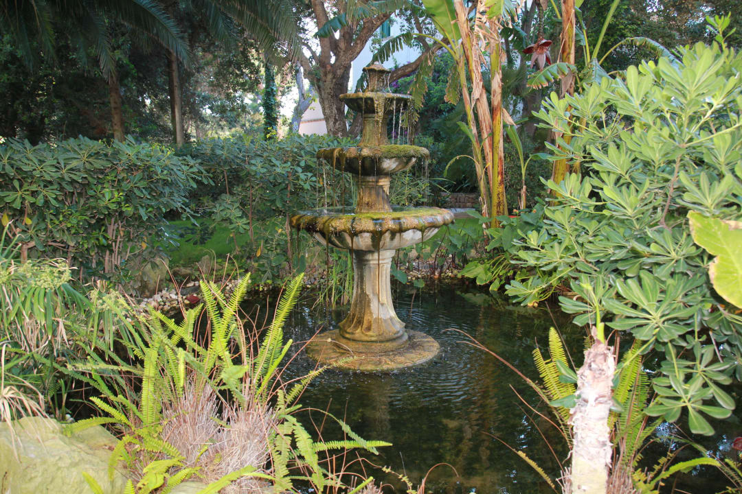 Das "Quartier" der Frösche Lago Garden