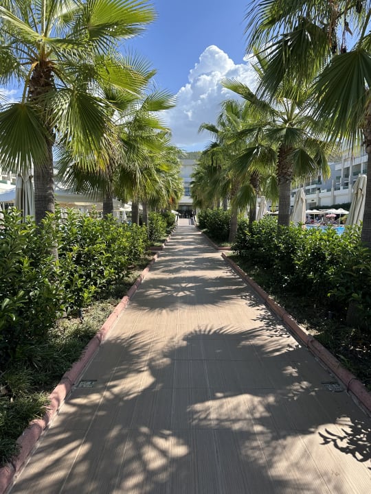 Außenansicht Korumar Ephesus Beach & Spa Resort