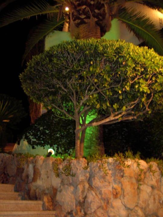 Gartenanlage Villa Columbus Rooms and Restaurant