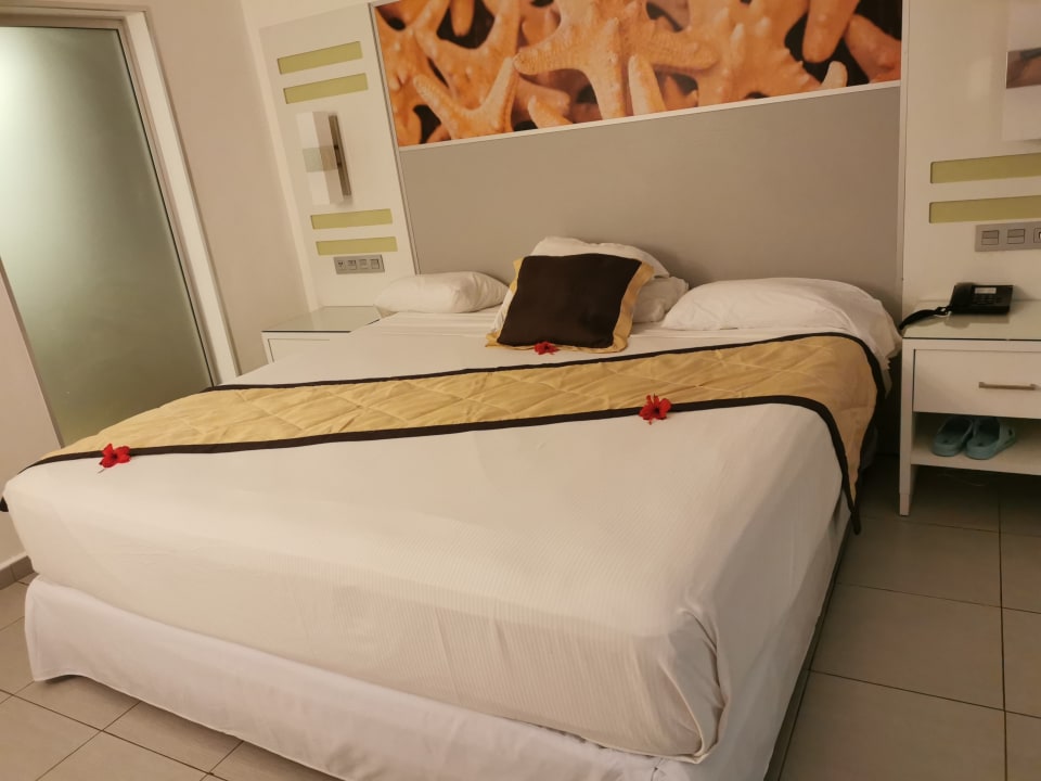 Zimmer Hotel Riu Republica - Adults only