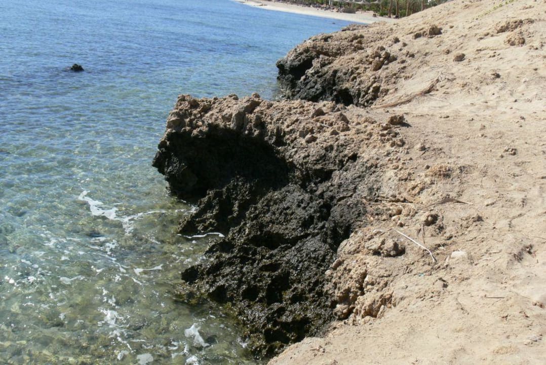 Hotel brayka bay Brayka Bay Resort