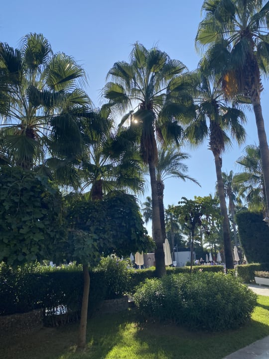 Gartenanlage Belek Beach Resort Hotel