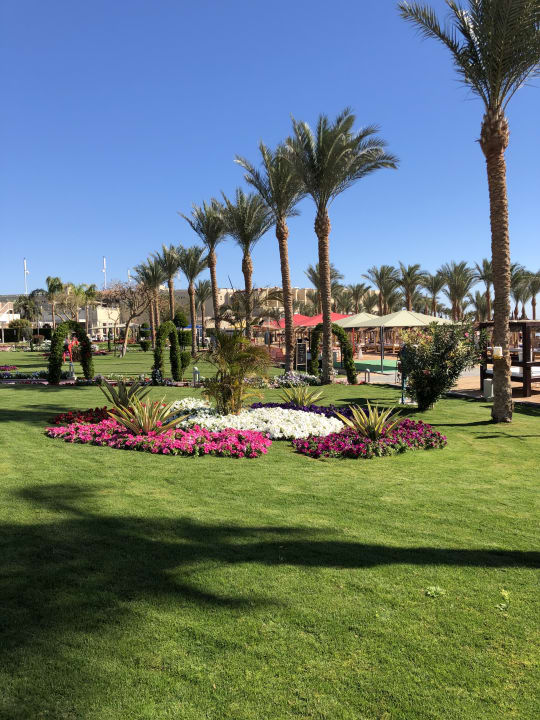 Gartenanlage Pickalbatros Palace Resort