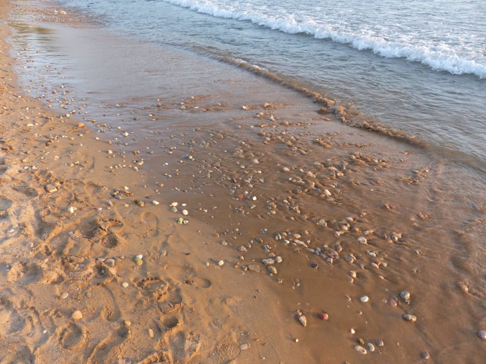 Der Hotel Strand is etwas steinig Top Hotel