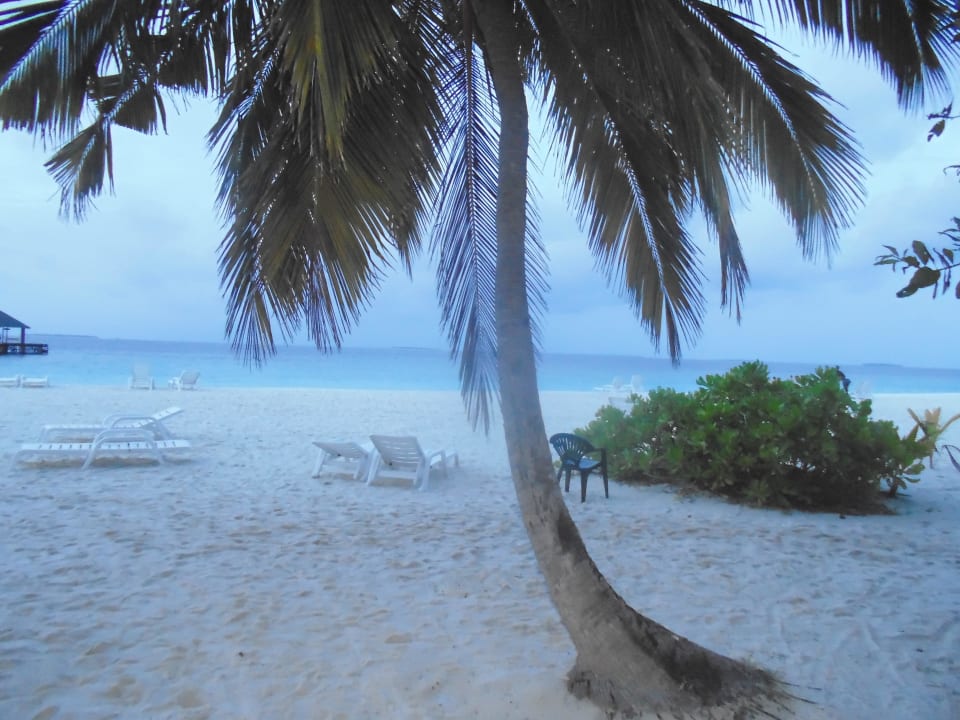 Palme Adaaran Select Meedhupparu Island Resort - Premium All Inclusive