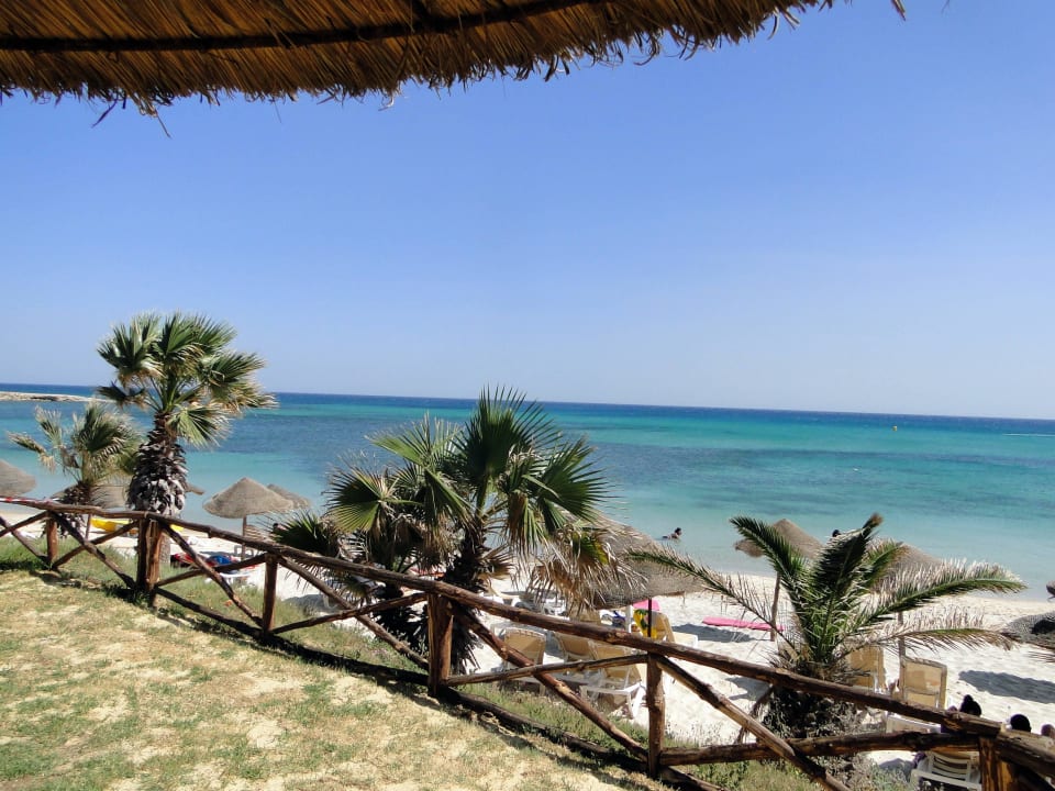 Plage TUI BLUE Palm Beach Hammamet